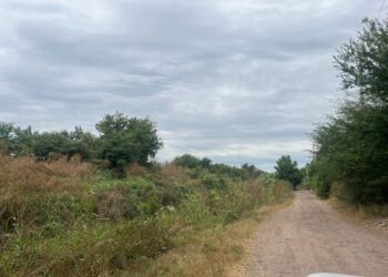 Localizan a joven sin vida y con huellas de torura en Bellavista, Culiacán