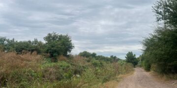 Localizan a joven sin vida y con huellas de torura en Bellavista, Culiacán