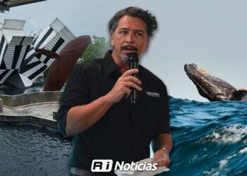 Urge regulación por parte de Semarnat para observación de ballenas en Mazatlán