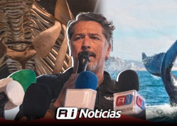 Mazatlán se prepara para recibir a las ballenas: MUNBA fomenta prácticas responsables