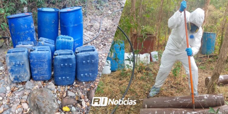 Golpe al crimen en el norte del país; Destacan hallazgos en Sinaloa