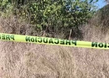 Colectivo de rastreadoras localizan osamenta al sur de Culiacán