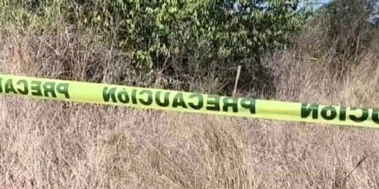 Colectivo de rastreadoras localizan osamenta al sur de Culiacán