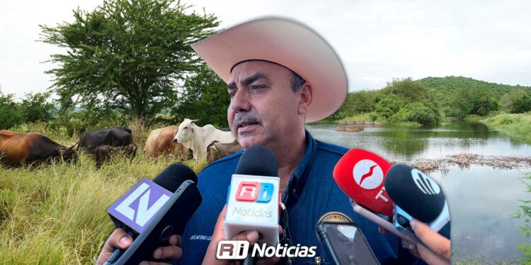 Ganaderos de Mazatlán recibirán el último apoyo del 2025 en los próximos días; será de últimos 600 mil pesos