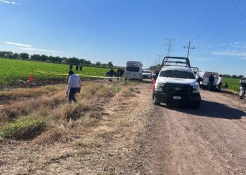Localizan a hombre sin vida en una parcela de El Quemadito, al sur de Culiacán