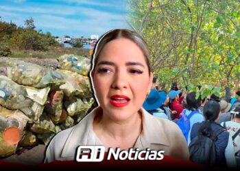 Suman 12 mil kilos de residuos retirados de manglares