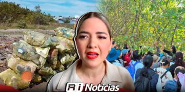 Suman 12 mil kilos de residuos retirados de manglares