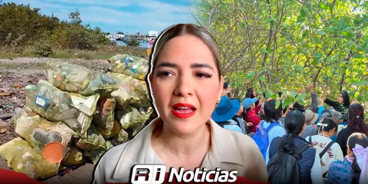 Suman 12 mil kilos de residuos retirados de manglares