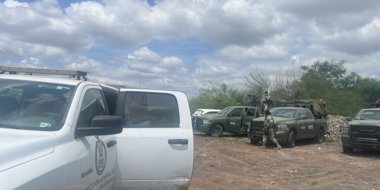 Localizan hombre sin vida entre unos cultivos, en San Pedro, Navolato