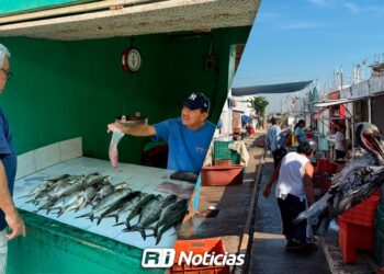“Aquí abunda la tristeza, los clientes NO”: Comerciantes del embarcadero de la Isla de la Piedra