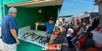 “Aquí abunda la tristeza, los clientes NO”: Comerciantes del embarcadero de la Isla de la Piedra