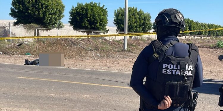 Abandonan cuerpo envuelto en plástico en Villa Juárez, Navolato