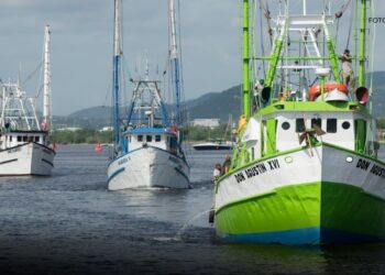 Barcos camaroneros regresen de forma gradual a Mazatlán
