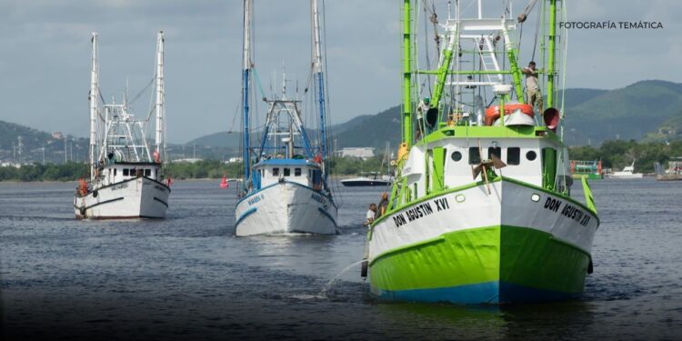 Barcos camaroneros regresen de forma gradual a Mazatlán