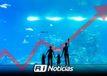 Gran Acuario Mazatlán proyecta un crecimiento de visitantes para 2026 tras recibir a 700 mil personas este año