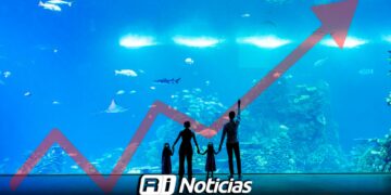 Gran Acuario Mazatlán proyecta un crecimiento de visitantes para 2026 tras recibir a 700 mil personas este año