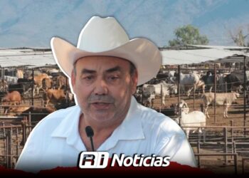 Asociación Ganadera prevé cierre anual favorable tras lluvias y programas de apoyo