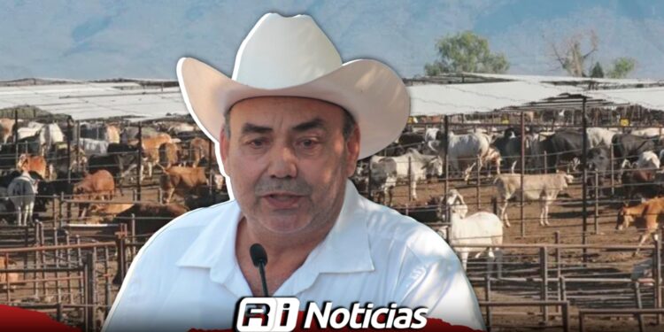 Asociación Ganadera prevé cierre anual favorable tras lluvias y programas de apoyo