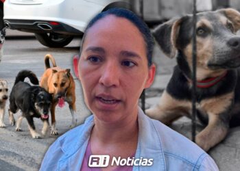 Disminuyen reportes por maltrato animal y refuerzan acciones de rescate y adopción