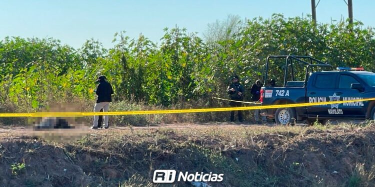 Localizan a dos hombres asesinados y amarrados a la orilla de un canal en Navolato