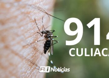 Lidera Culiacán en casos de dengue con 914: Mazatlán mantiene cifras bajas