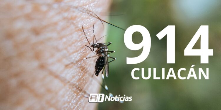 Lidera Culiacán en casos de dengue con 914: Mazatlán mantiene cifras bajas