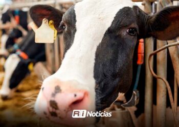 Hechos de alto impacto en Escuinapa, obligan a ganaderos modificar horarios para cuidar de animales