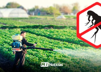 ¿Plagas, alimentos y clima ponen en “jaque” a la agricultura?