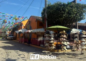 Negocios de la zona rural cerrarán año con disminución del 80% en ventas