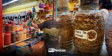 Nuez registra costos de hasta $400 el kilo; ventas bajan hasta en un 30%