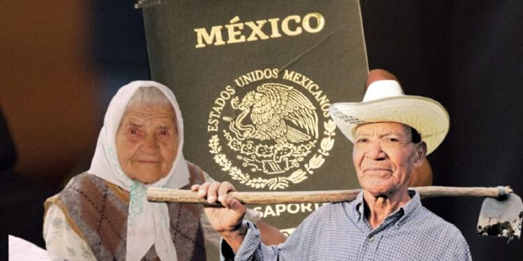 Pasaporte Mexicano 2026: así puedes obtener 50% de descuento en el COSTO de 3, 6 y 10 años