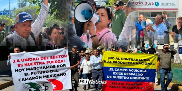 Acuicultores de cuatro estados se manifiestan en Mazatlán; “NO más al ingreso ilegal de camarón”, exigen