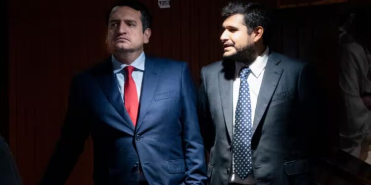 Revelan que red ligada a hijos de AMLO suministra balasto a nuevos trenes del gobierno