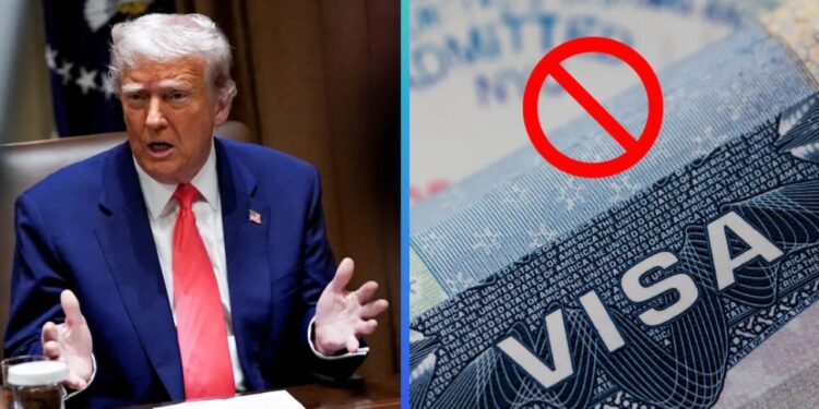 EE.UU. suspende visa a 39 países, ¿Cuáles son?