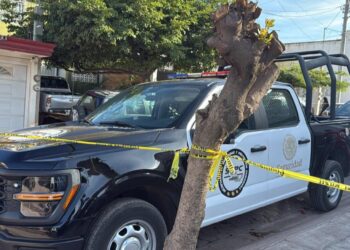 Identifican a hombre asesinado a balazos en Riberas del Humaya en Culiacán