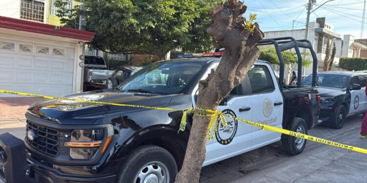 Identifican a hombre asesinado a balazos en Riberas del Humaya en Culiacán