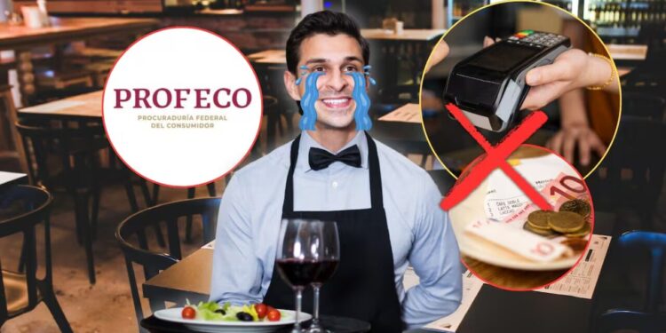 No más propinas en bares, restaurantes y cafés este 2026: Profeco alerta sobre las reglas que prohíben a los meseros cobrar extra a los consumidores