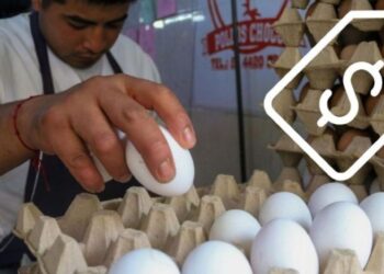 Profeco destaca baja en el precio del huevo blanco; ¿Cuánto cuesta?