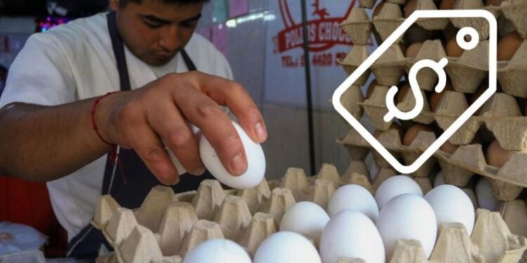 Profeco destaca baja en el precio del huevo blanco; ¿Cuánto cuesta?