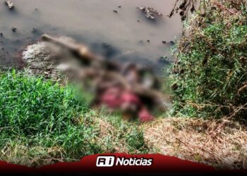 Localizan restos humanos en canal cercano a empresa ganadera de Culiacán