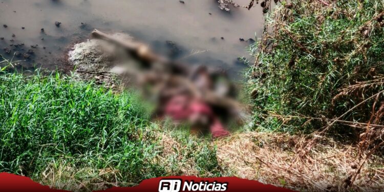 Localizan restos humanos en canal cercano a empresa ganadera de Culiacán