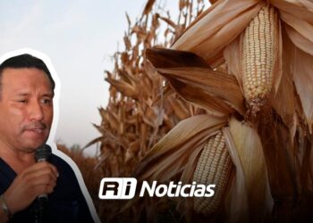 Coparmex alerta por robo de vehículos y exige respuestas inmediatas