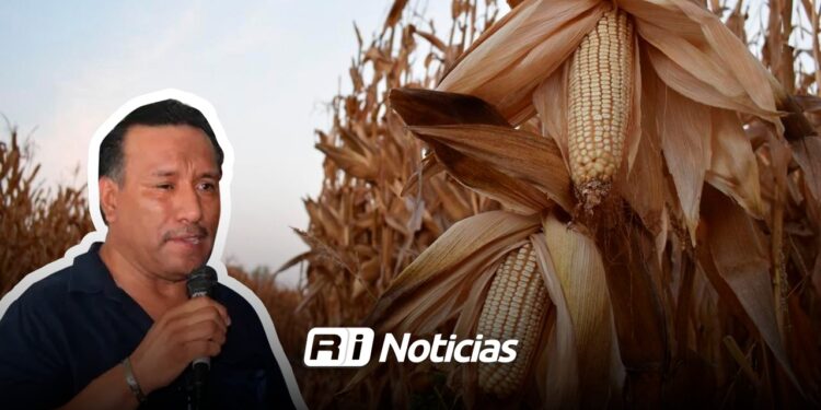 Coparmex alerta por robo de vehículos y exige respuestas inmediatas