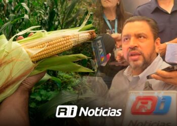 Campo sinaloense enfrenta retos en precio del maíz para 2026: Bello Esquivel