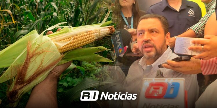 Campo sinaloense enfrenta retos en precio del maíz para 2026: Bello Esquivel