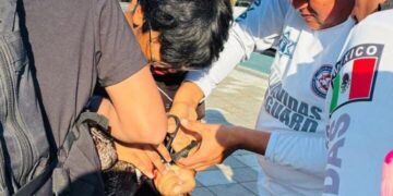 Salvavidas atienden a pescador y pelícano afectados por anzuelo en Mazatlán