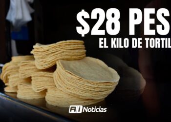 Precio al kilo de tortilla se mantiene en $28 en Sinaloa; llaman a denunciar abusos