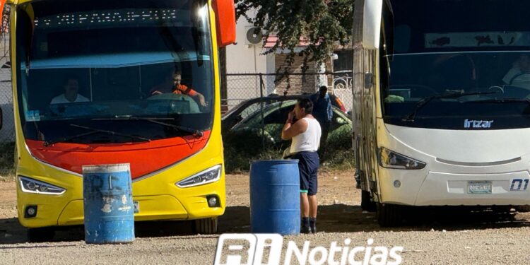 Charteros registraron ocupación del 90% en Mazatlán por cierre de año