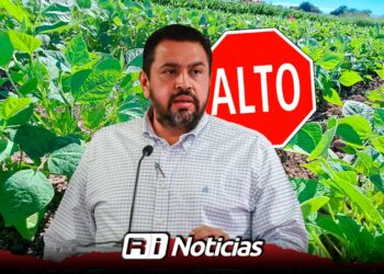 Gobierno mete “freno de mano” y reduce siembra de frijol para evitar sobreoferta