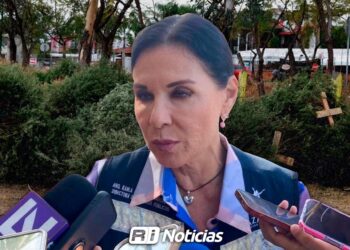 ¿Aún tienes el pino navideño? Así puedes desecharlo correctamente